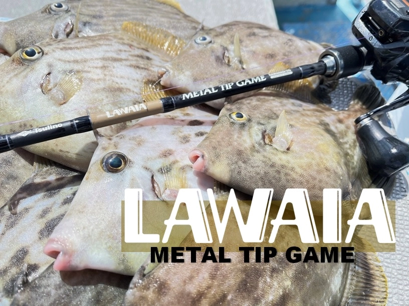 只今好調】良型カワハギ狙いにはLAWAIA MTG KAWAHAGI 175が